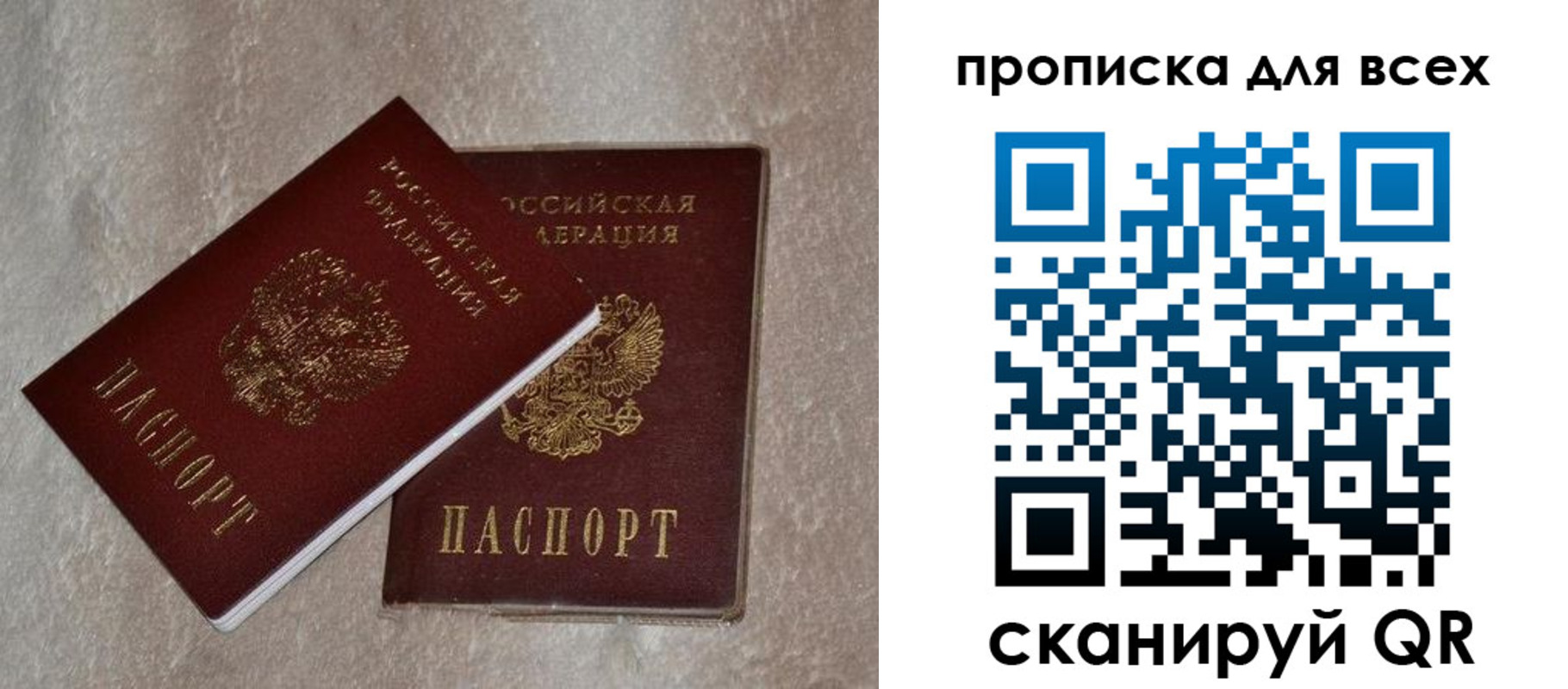 прописка в квартире в Снежногорске